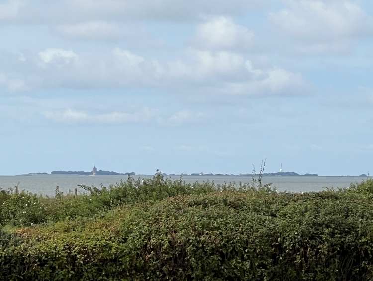 Blick vom Balkon